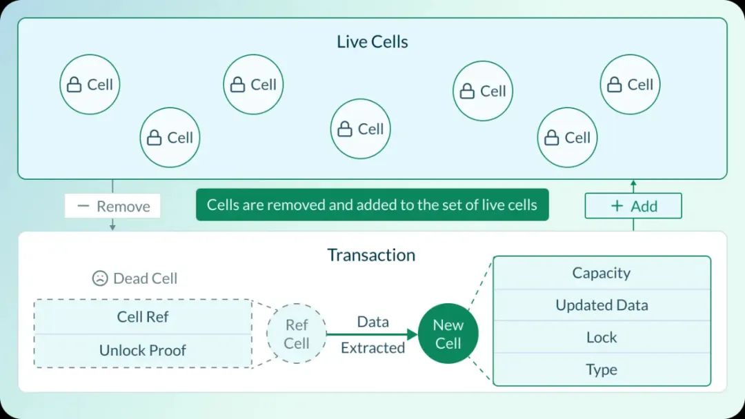 ​价值被严重低估的BTC-L2，深度解析Nervos Network （CKB）-图片5